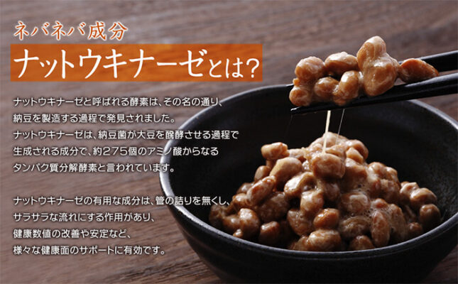 Viên hỗ trợ đột quỵ Noguchi Natto Kinase Premium 4000FU