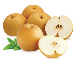 LÊ HÀN QUỐC NHẬP KHẨU - 5 KG