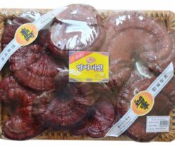 Nấm linh chi Hàn Quốc nhập khẩu tai to đóng khay chất lượng cao cấp