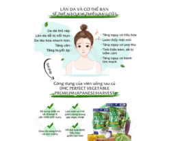 Viên DHC rau củ Perfect Vegetable Premium Nhật Bản 60 ngày
